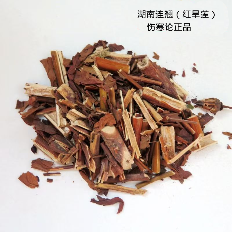 连翘